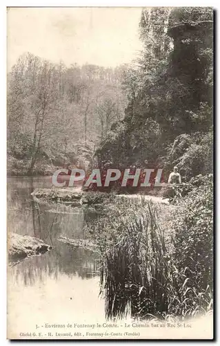 Cartes postales Environs de Fontenay le Comte Le chemin bas au Roc St luc