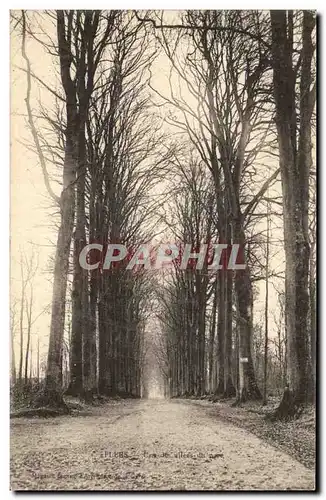 Cartes postales Flers Une allee du parc