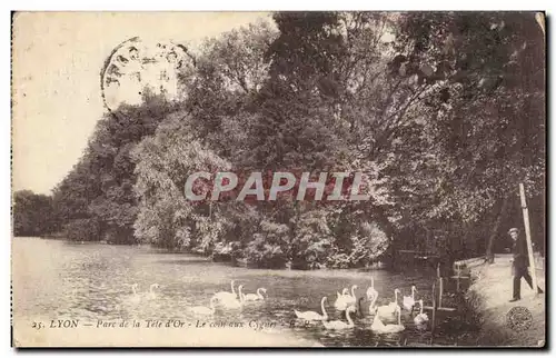 Cartes postales Lyon Parc de la Tete d&#39or Le Coin aux Cygnes