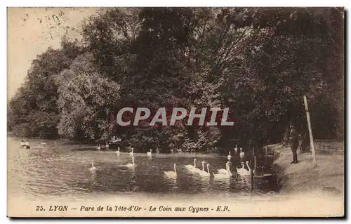 Cartes postales Lyon Parc de la Tete d&#39or Le Coin aux Cygnes