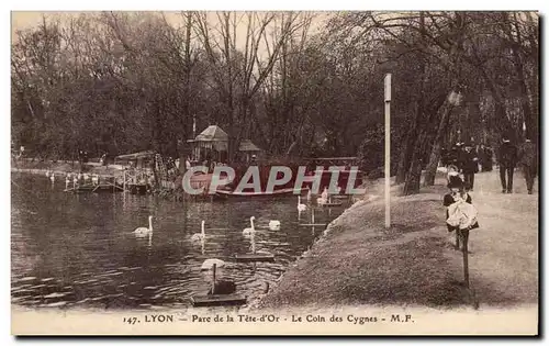 Cartes postales Lyon Parc de la Tete d&#39or Le Coln des Cygnes