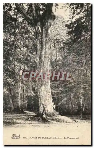 Cartes postales Foret De Fontainebleau Le Pharamond