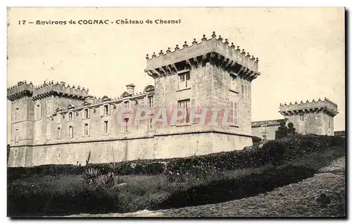 Cartes postales Eglise de Cognac Chateau de Chesnel