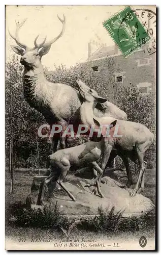 Cartes postales Nantes Jardin des Plantes Cerf et biche