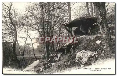 Cartes postales Nantes Bois Du Petit Port Le Dolmen