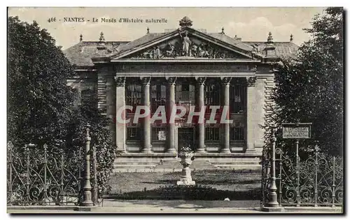 Cartes postales Nantes Le Muses D&#39Histoire Naturelle