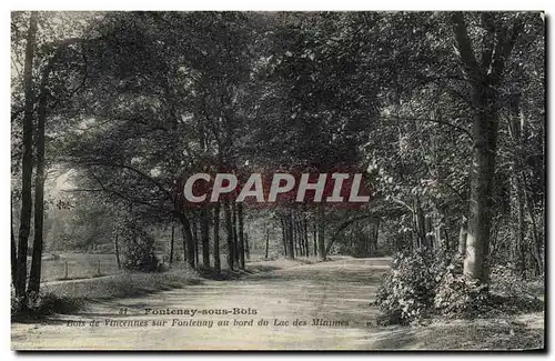 Cartes postales Fontenay Sous bois Bois De vincennes Sur Fontenay Au bord du lac des Minimes