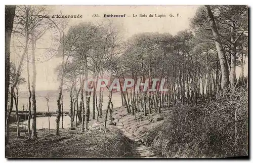 Ansichtskarte AK Cote D&#39Emeraude Rotheneuf Le Bois Du Lupin