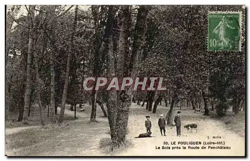 Cartes postales Le Pouliguen Le Bois pres la Route de Penchateau