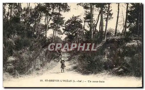 Cartes postales St Brevin L&#39Ocean Un sous bois