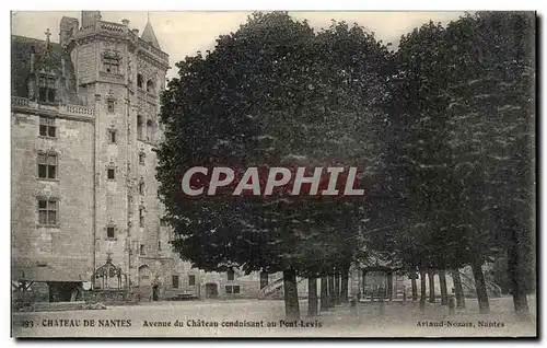 Cartes postales Chateau De Nantes Avenue du Chateau Conduisant au pont Levis