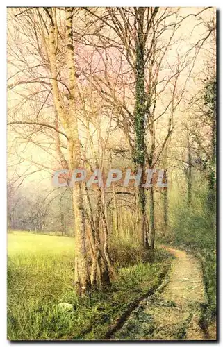 Cartes postales Serie Sentier sous Bois