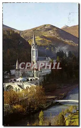 Cartes postales Lourdes La Basilique et le Gave de Pau