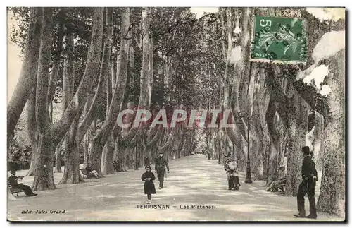 Cartes postales Perpignan Les platanes
