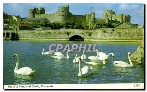 Ansichtskarte AK The Mill Pond and Castle Pembroke Cygnes Guinness is good