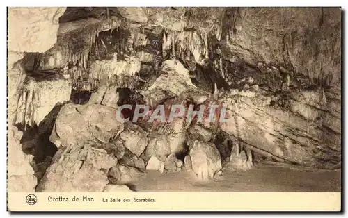 Cartes postales Grottes de Han Le Salle des Scarabees Insectes