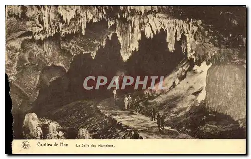 Cartes postales Grottes de Han Le Salle des mamelons