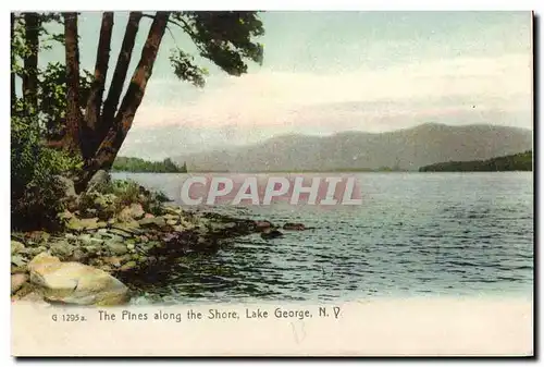 Cartes postales The Pines along the Shore Lake George Lake George NY