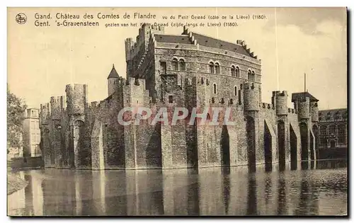 Ansichtskarte AK gand Chateau des Comtes de Flande vue du Petit Gewald
