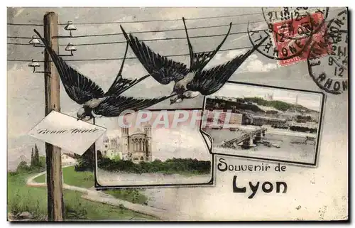 Cartes postales Souvenir de Lyon Hirondelles