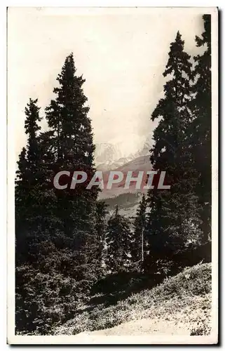 Cartes postales Megeve Sur les Pentes de Rochebrune le Sommet du mont Blanc