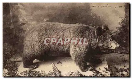 Cartes postales Savoie L&#39Ours