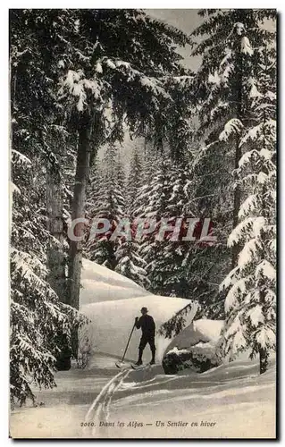 Ansichtskarte AK Dans Les Alpes Un Senlier En Hiver Ski