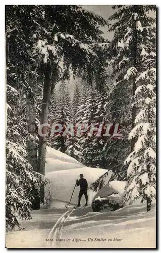 Cartes postales Dans Les Alpes Un Senlier En Hiver Ski