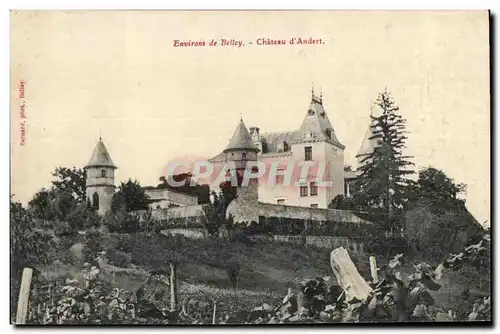 Cartes postales Environs de Belley Chateau d&#39Andert