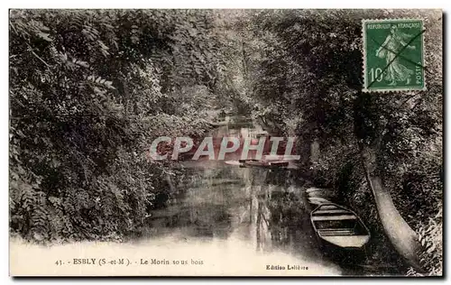 Cartes postales Esbly Le Morin Sous Bois