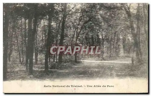 Cartes postales Asile Natinal du Vesinet Une Allee du Parc