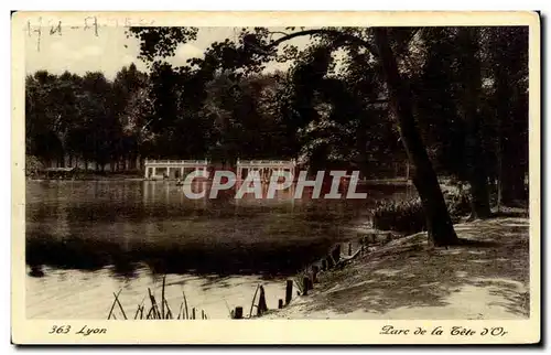 Cartes postales Lyon Parc De La Fete d&#39Or