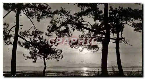 Ansichtskarte AK Bassin D&#39Arcachon Coucher De Soleil Pur Le Bassin