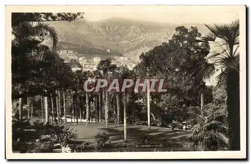 Cartes postales Monte Carlo Les Jardins du casino