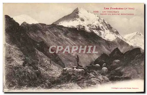 Cartes postales Les Pyrenees Un Troupeau Dans La Haute Montagne Moutons