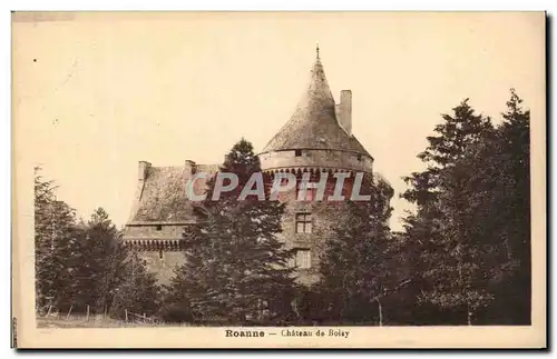 Ansichtskarte AK Roanne Chateau de Boisy