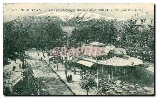 Cartes postales Perpignan Vue Panoramique sur le Palmarium et le Canigou