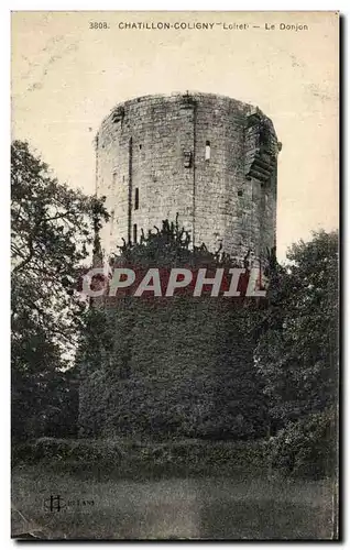 Cartes postales Chatillon Coligny Le Donjon