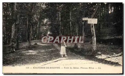 Cartes postales Bagneres De Bigorre Foret Du Bedat Plateau Milon