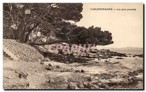 Cartes postales Carqueiranne Les Pins Penches