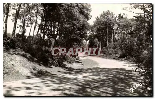 Cartes postales Ile D&#39Oleron Vert Bois