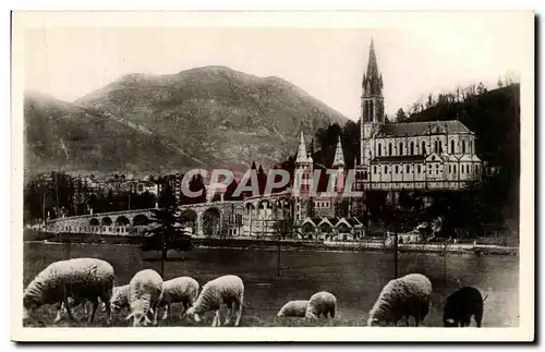 Cartes postales Lourdes La Basilique Et Le Pic du jer Moutons