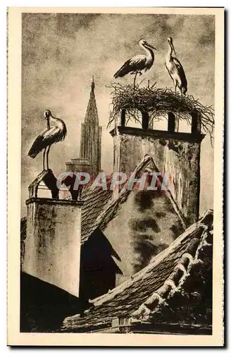 Cartes postales Strasbourg Nid de Cigognes