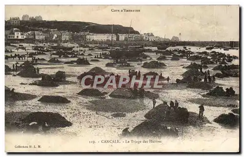 Cartes postales Cancale Le Triage Des Huitres Peche