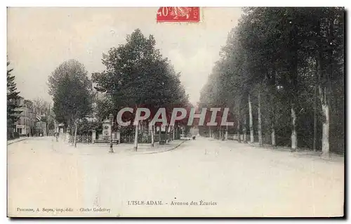 Cartes postales Isle Adam Avenue des Ecuries