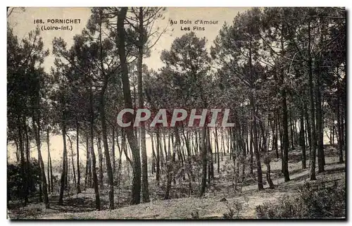 Cartes postales Pornichet Au Bois d Amour Les pins