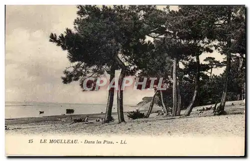 Cartes postales Le Moulleau Dans Les Pins