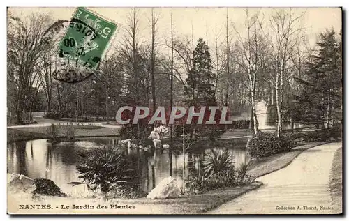 Ansichtskarte AK Nantes Le Jardin Des Plantes