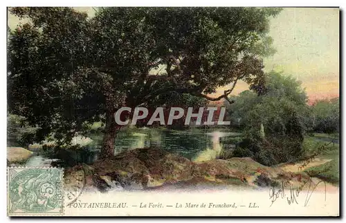 Cartes postales Palais Le Fontainebleau La Mare de Franchard