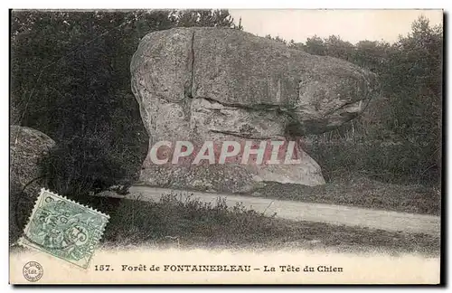 Cartes postales Foret de Fontainebleau La Tete du Chien